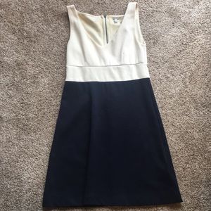 J. Crew dress